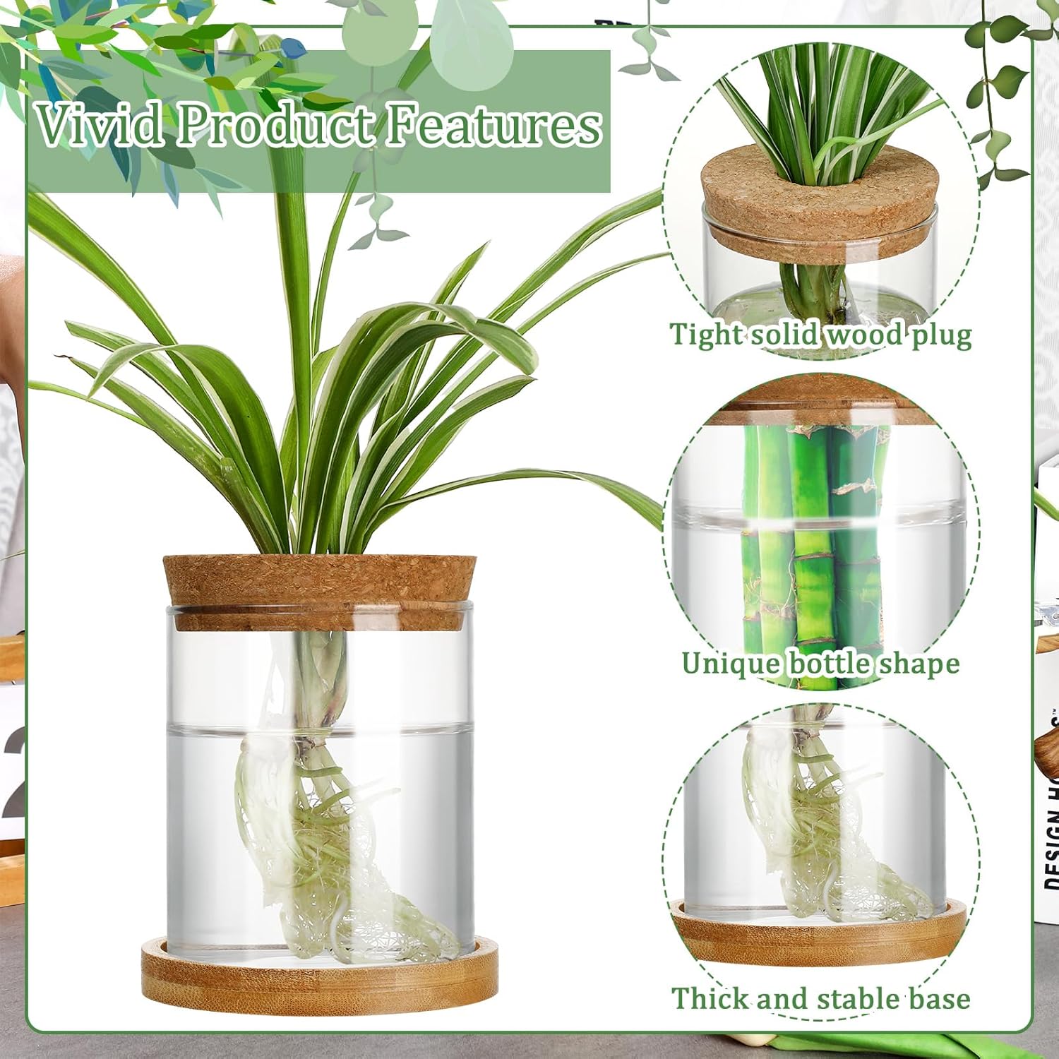 Maxcheck 3 Pcs 3 Sizes Plant Propagation Station Separated Glass Plant Terrarium Water Hydroponic Planter Holder with Lid and Wooden Stand Propagation Vase Pot for Home Indoor Office(Various Sizes) - Image 4