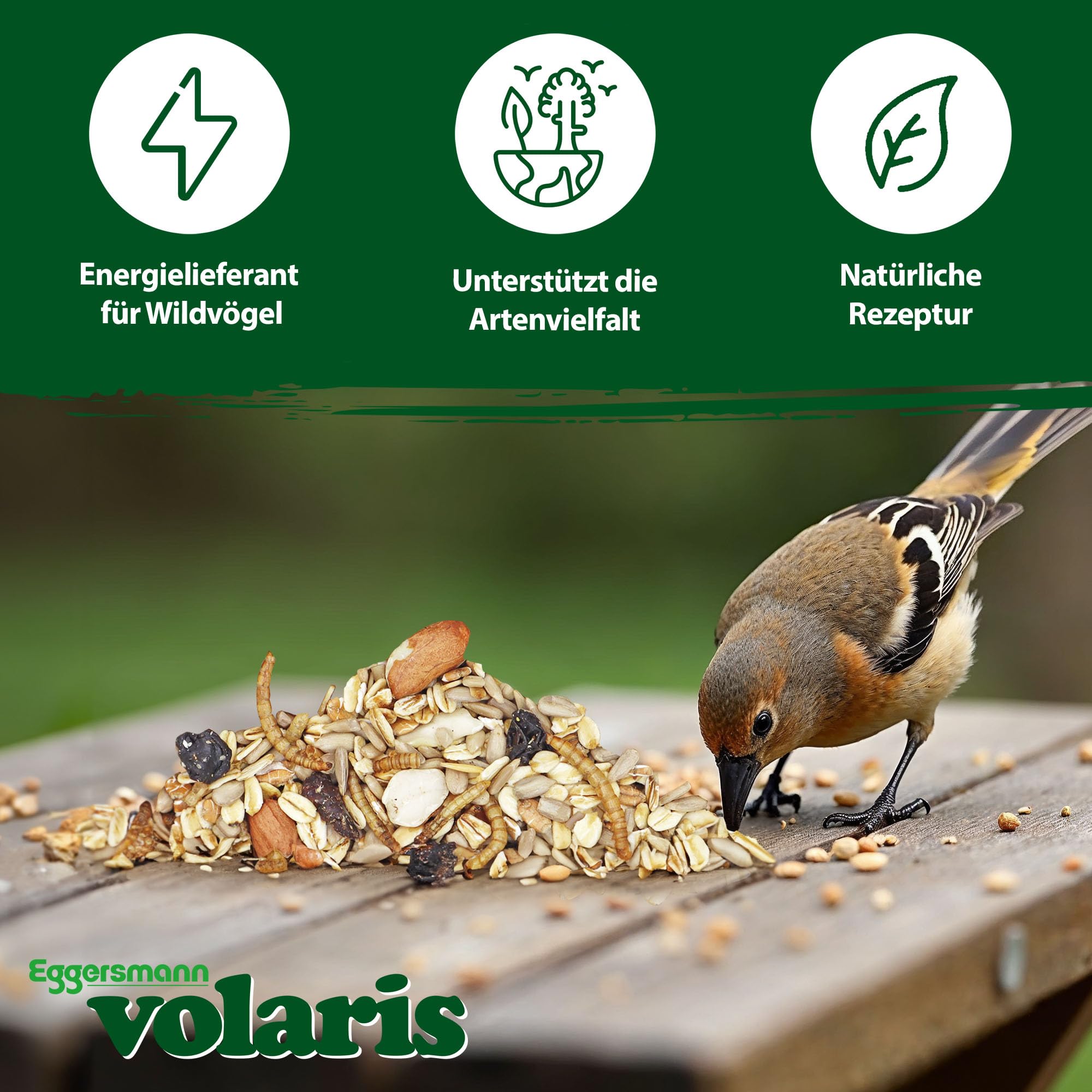 Eggersmann volaris Terrassenkörner mit Insekten 10 kg – Schalenfreies Wildvogelfutter mit Mehlwürmern, Sonnenblumenkernen UVM. – Ganzjahresfutter, Protein- & energiereich – Streufutter für Wildvögel