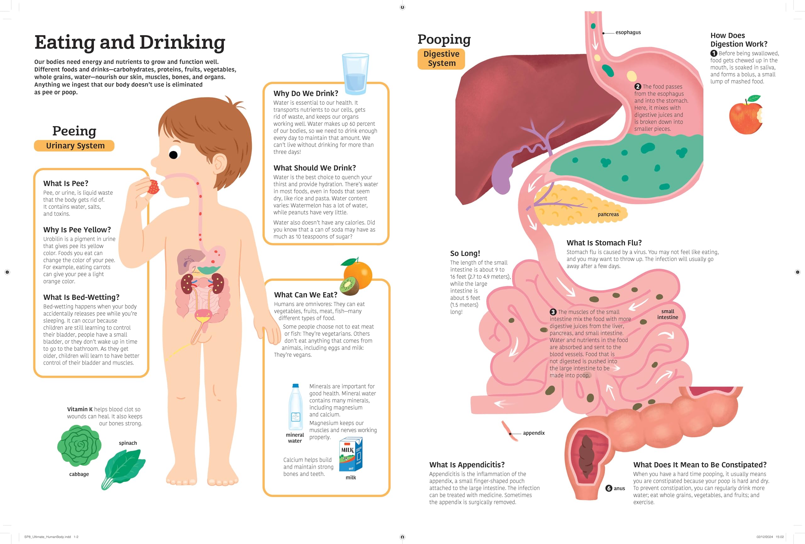 The Ultimate Book of the Human Body