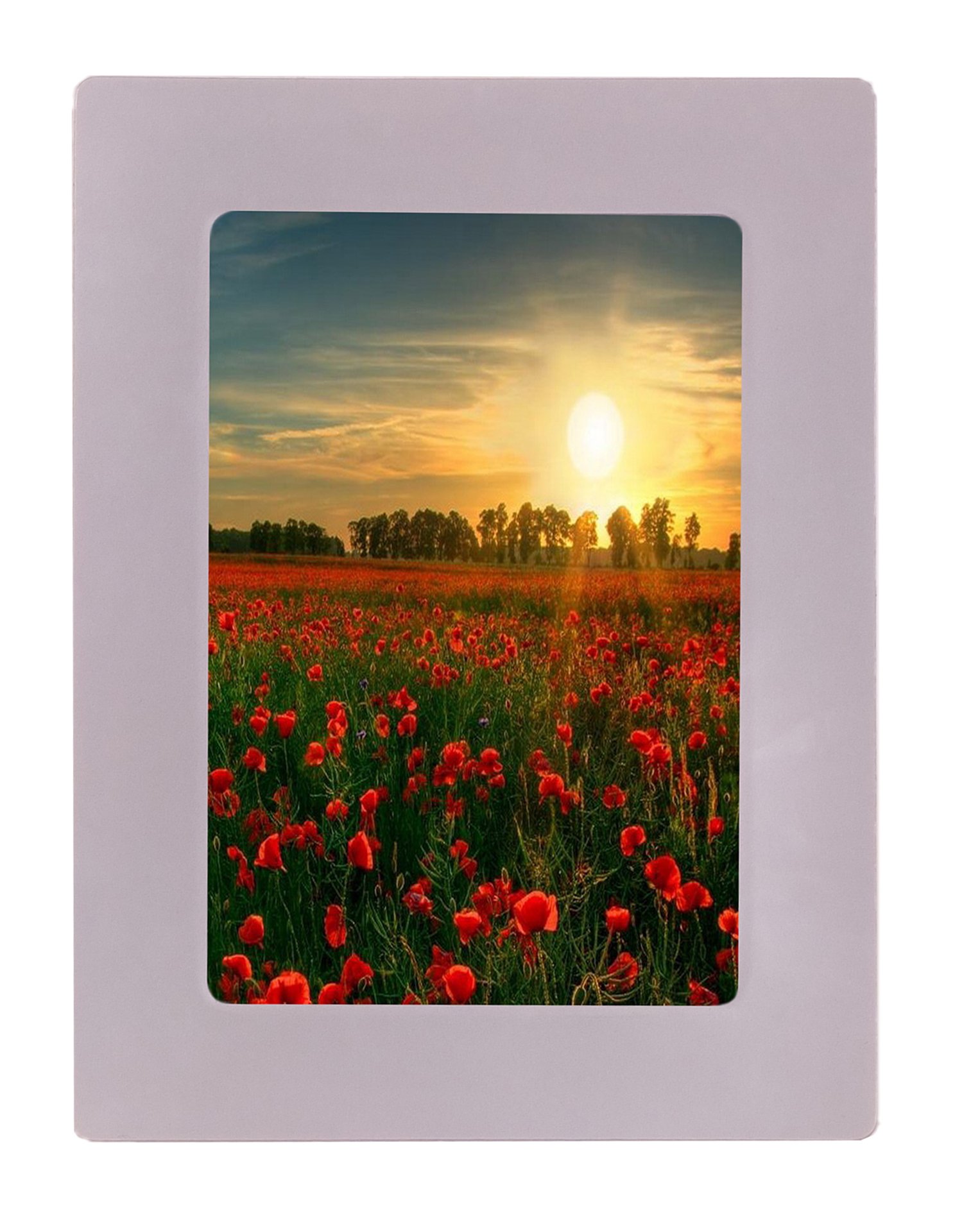 Discovery Channel Picture Pocket Frame Anywhere, White