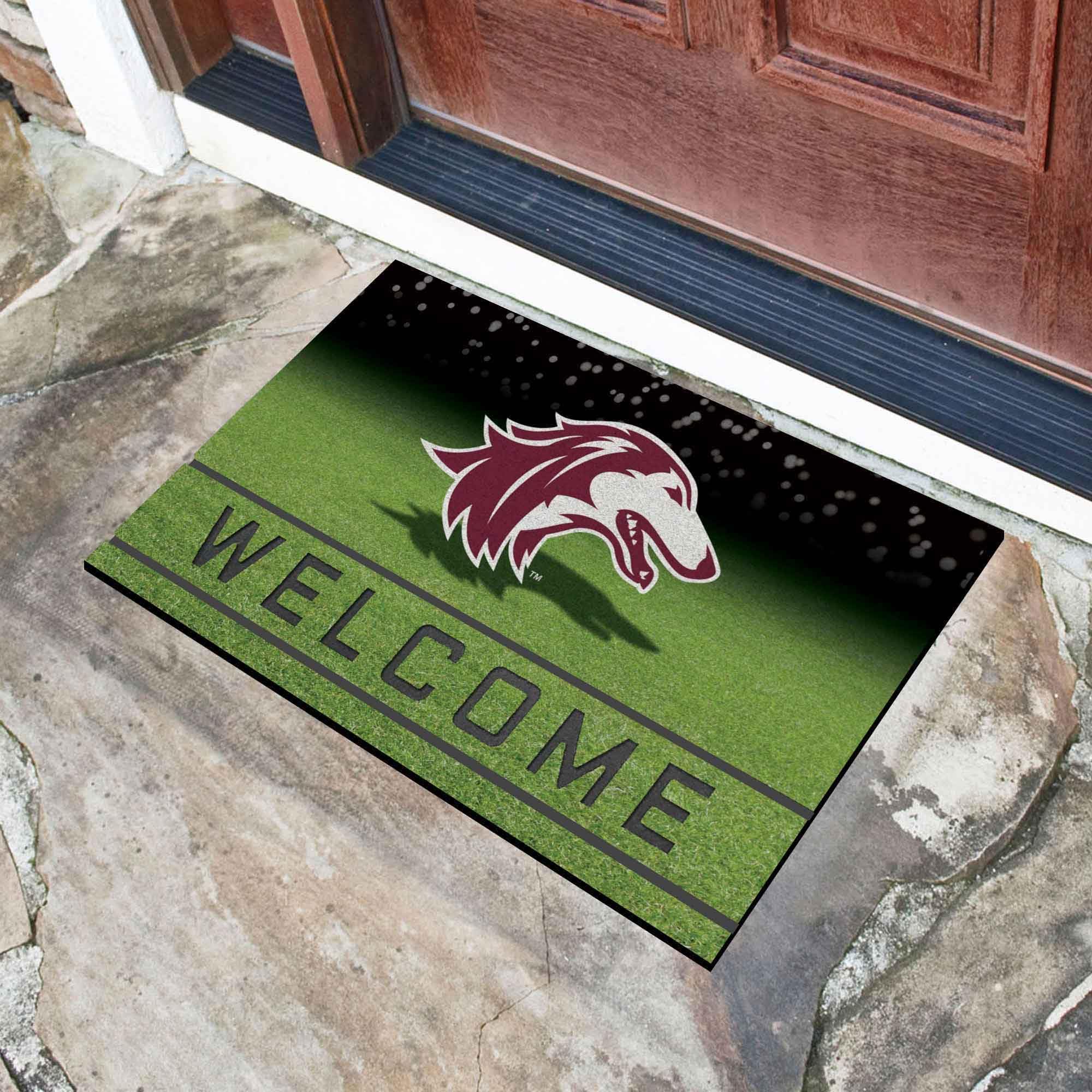 FANMATS 28052 Southern Illinois University Crumb Rubber Door Mat