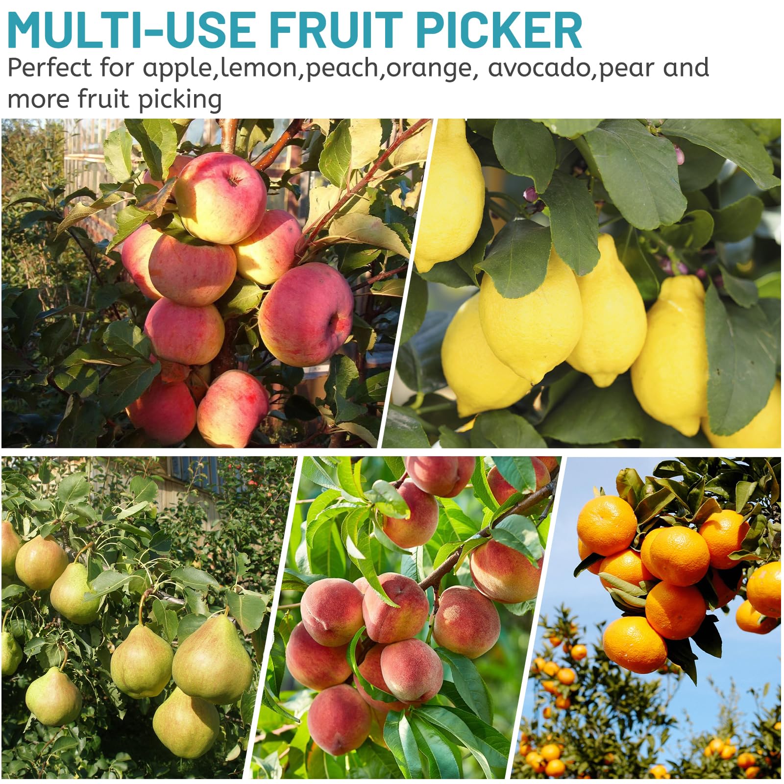 DBREAKS 4,2 m Recogedor de Frutas, Recogedor de Manzanas con Barra telescópica de Aluminio Ligero, Recogedor de Frutas con Cojín, Fácil de Montar, Diámetro de 16cm