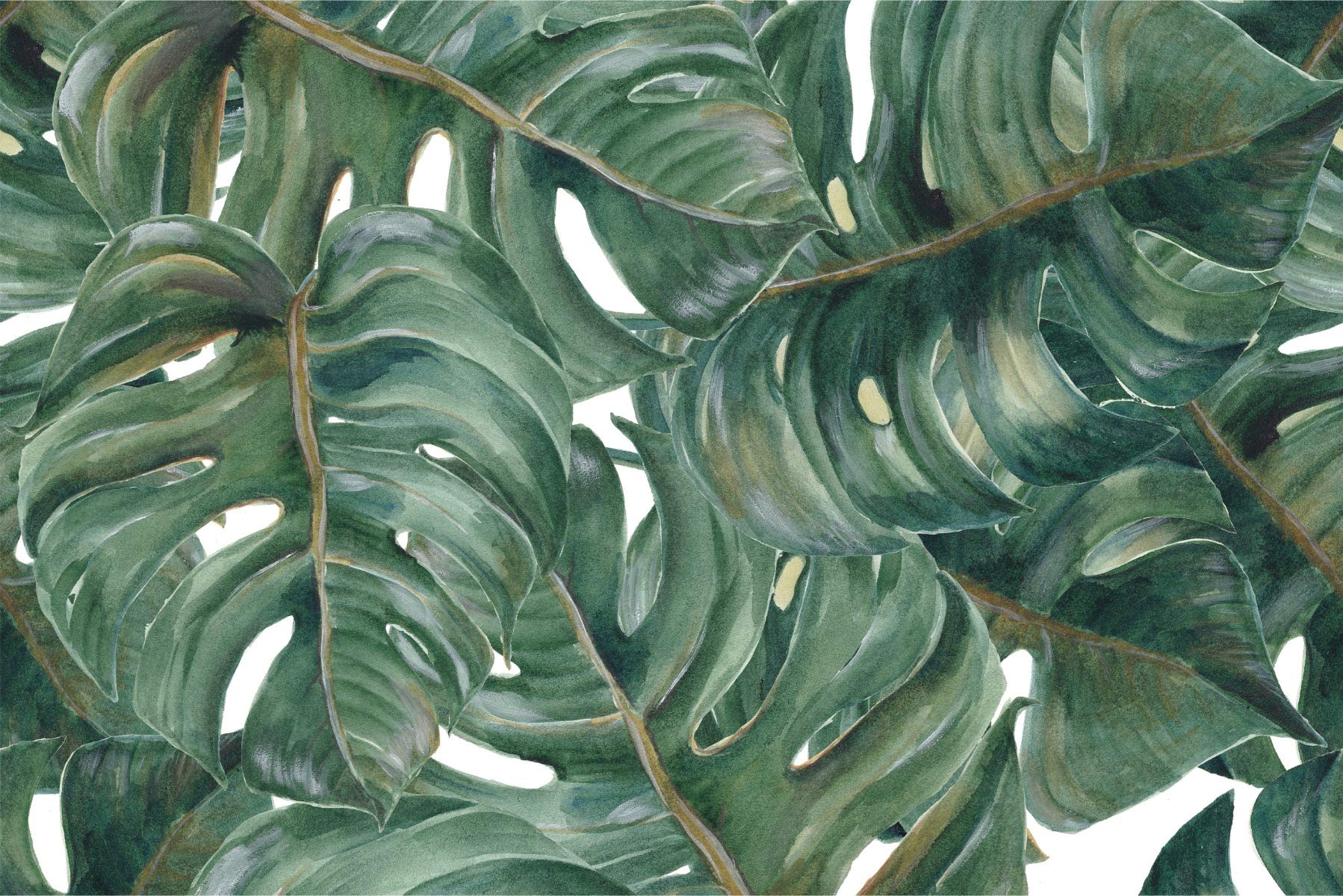Fototapeta z włókniny monstera, liście, naturalne rośliny, flora, 315 x 210 cm, nowoczesna tapeta XXL, dżungla, egzotyka, do salonu, sypialni, biura, korytarza, tapeta ścienna szer. 315 x wys. 210