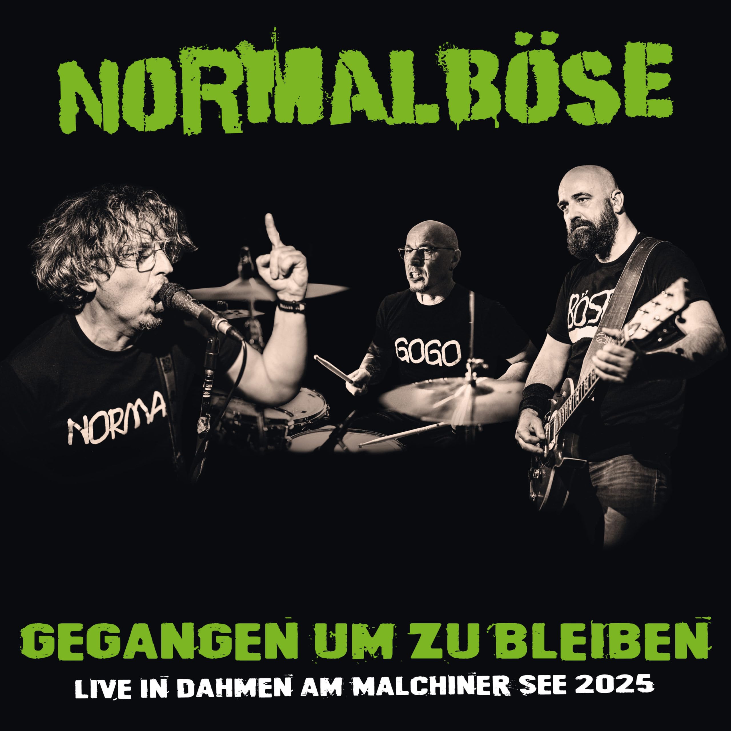Gegangen Um zu Bleiben (Live) [VINYL]