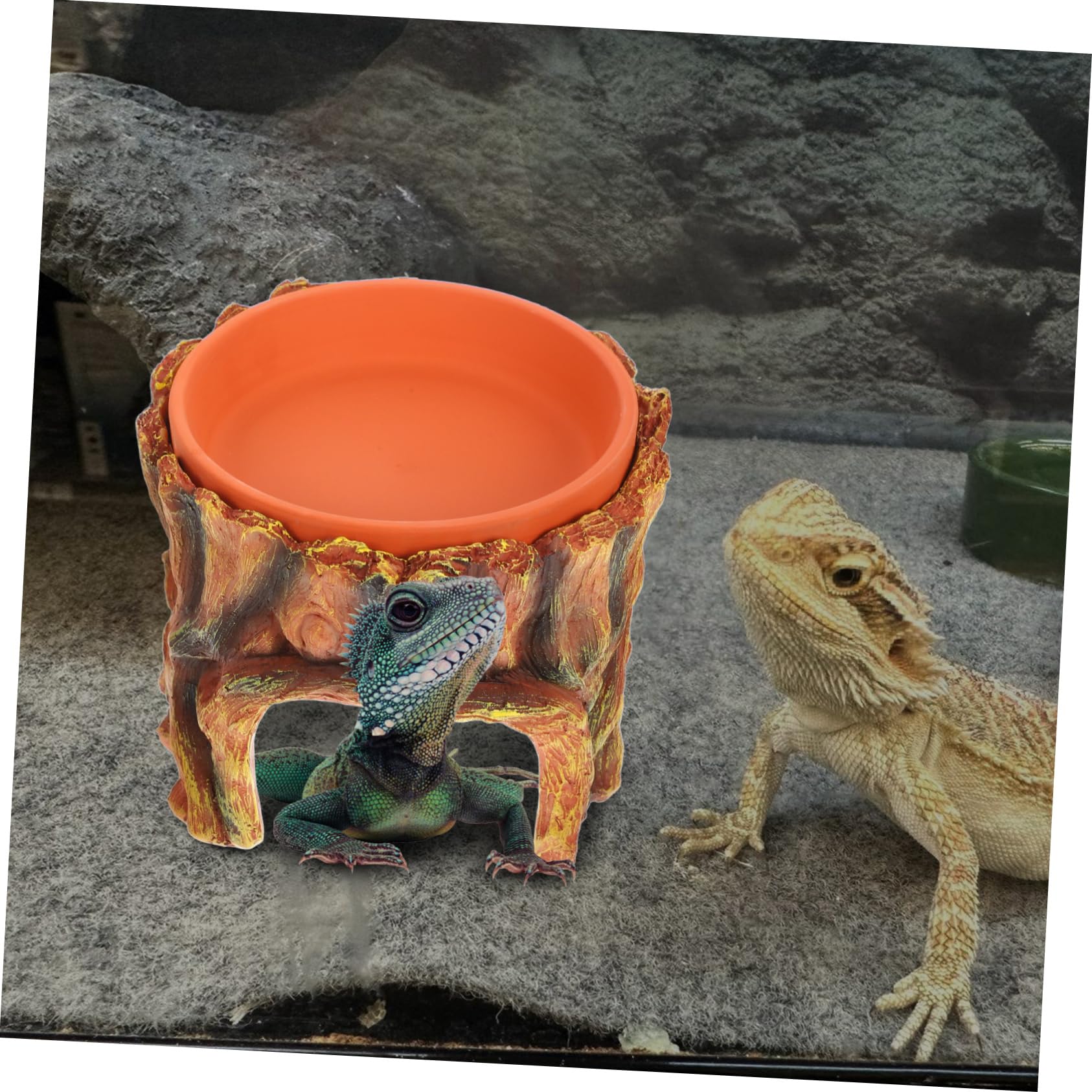 Toyvian Nascondiglio per Rettili con Design Versatile e Spazioso Decorazione per Terrario Gechi e Tartarughe Facile Installazione Strumenti