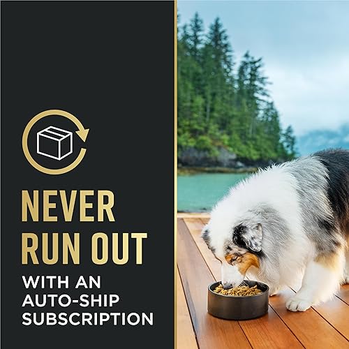 Miniatura 10 de De Purina Pro Plan, mezcla de comida seca para perros con piel y estómago sensible a base de salmón y arroz