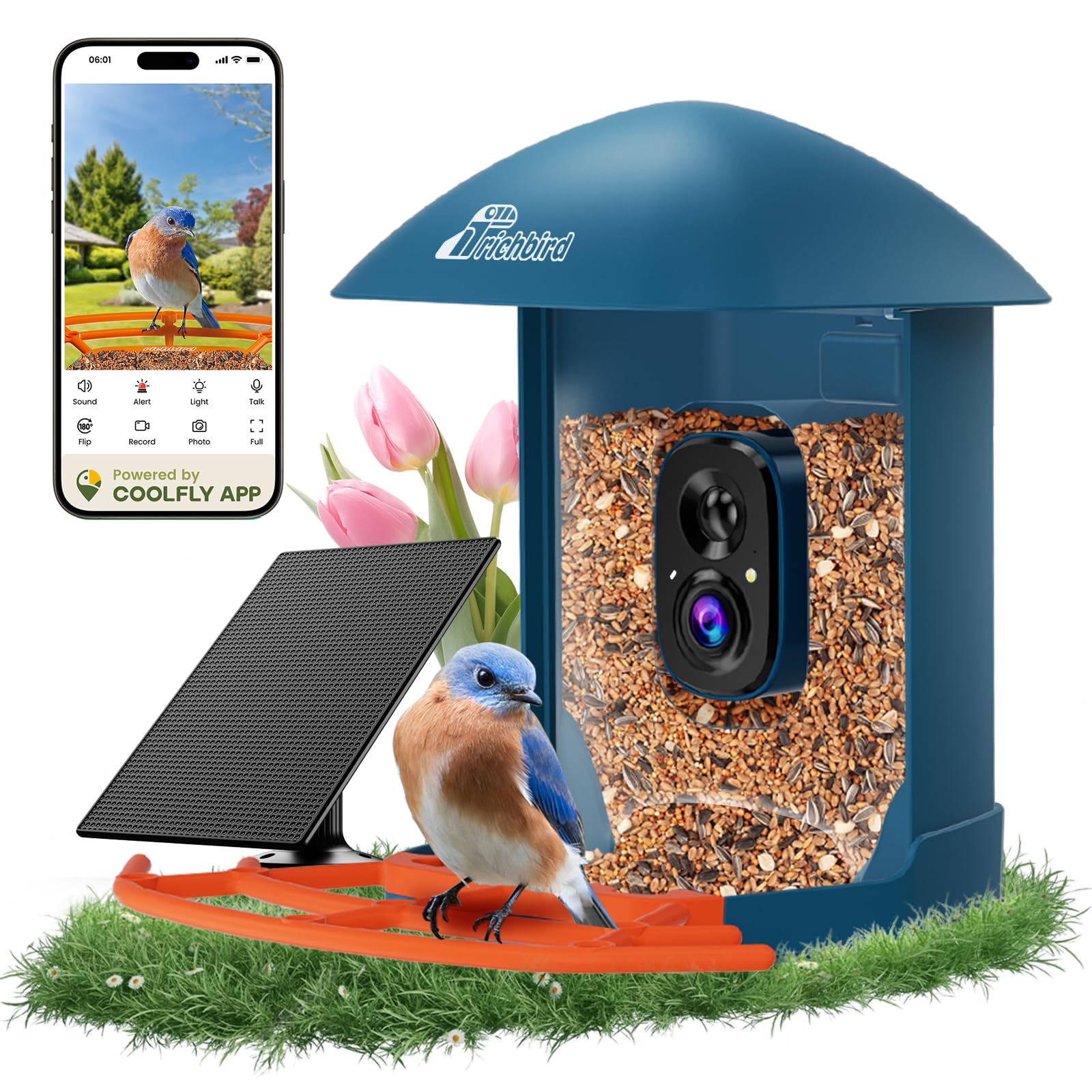 Comedero inteligente para pájaros con cámara, cámara de observación de aves con IA gratuita de por vida, identifica especies de aves y panel solar, captura automática de video y notificaciones