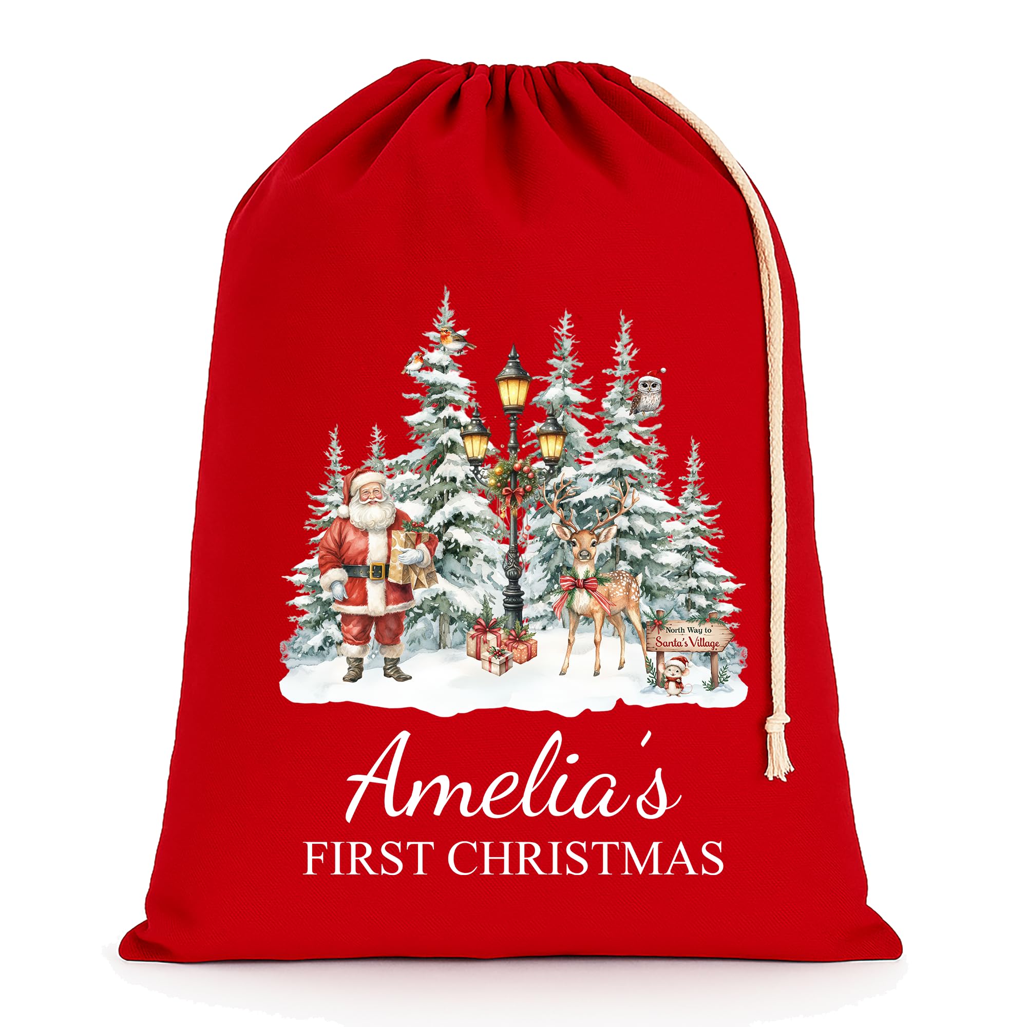 Chicken Craft Personalised Baby's First Christmas Santa Sack with Custom Name - Red - My 1st Xmas Keepsake Gift for Boys or Girls (Village Scene, Extra Large)