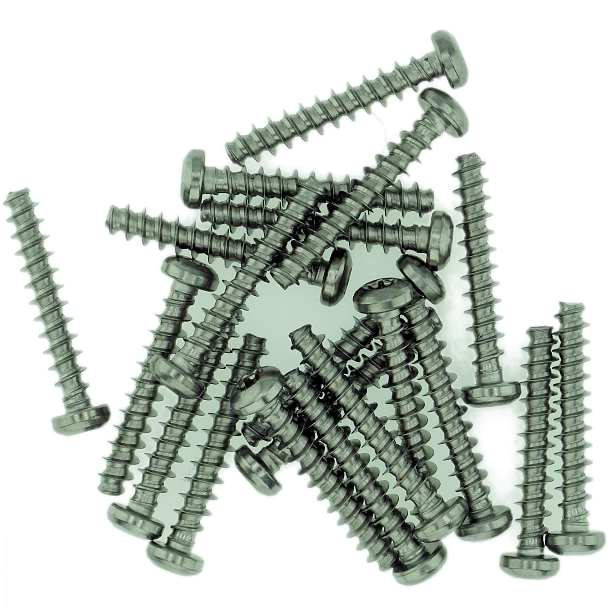 Singularity Supplies D4 (4Mm X 18Mm) Tx Pan Screws For Plastic - Stainless Steel (A2) (Pack Of 20)