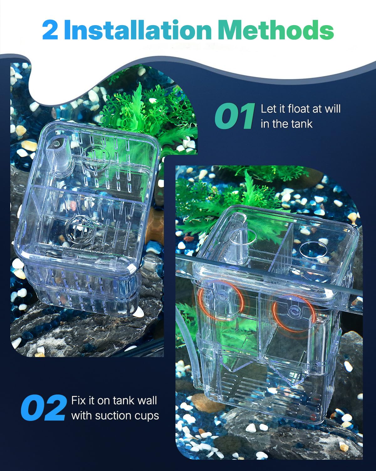 Pawfly Scatola per allevamento di pesci in plastica trasparente per piscina di pesce, incubatrice per pesce, gamberetti, piccola scatola isolante per pesci aggressivi