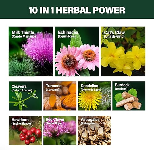 Miniatura 3 de Verdeherb Cleavers Gotas de drenaje linfático mejoran la limpieza de desintoxicación del sistema linfático, equinácea, cardo mariano, garra de gato,