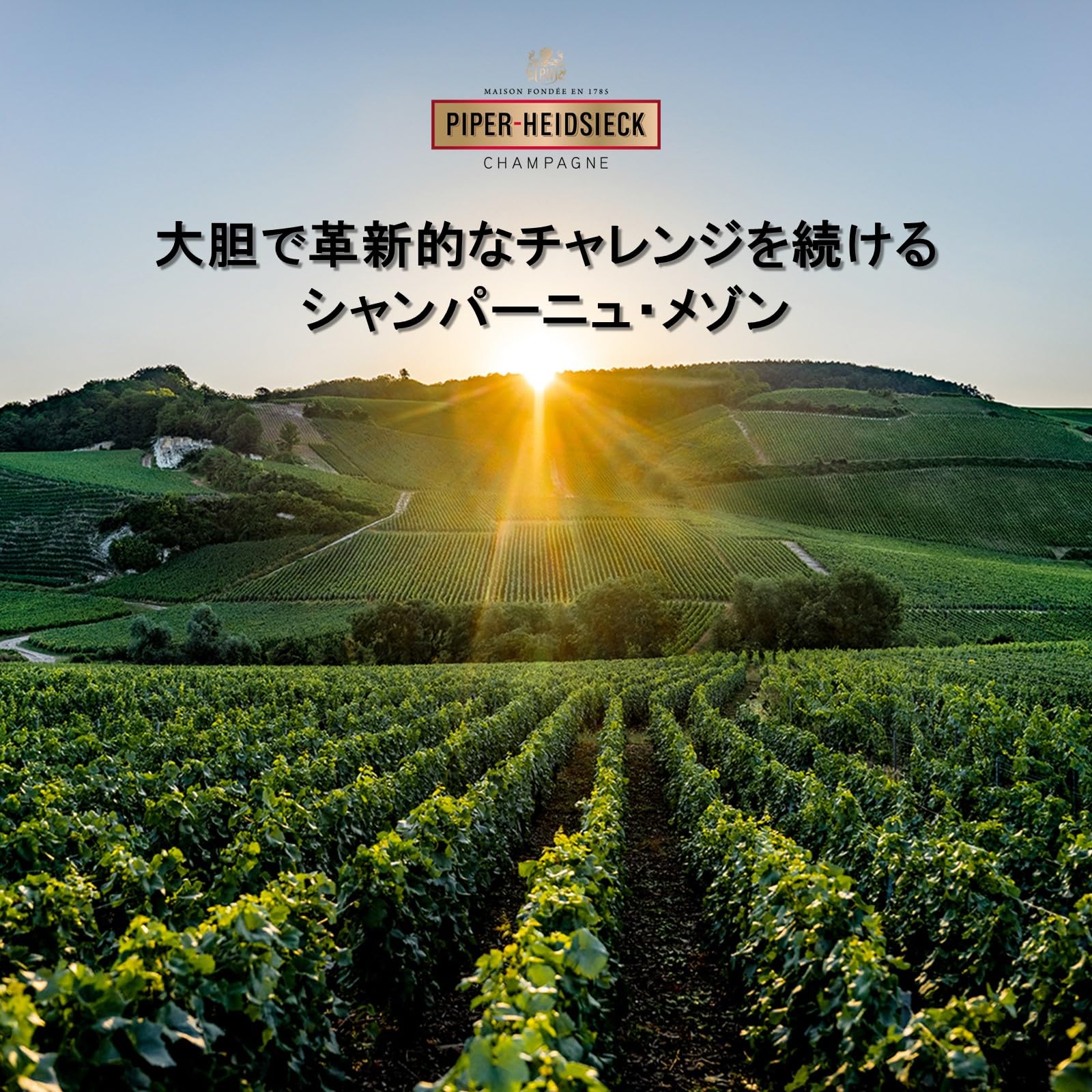 Amazon.co.jp: シャンパーニュ パイパー・エドシック ロゼ