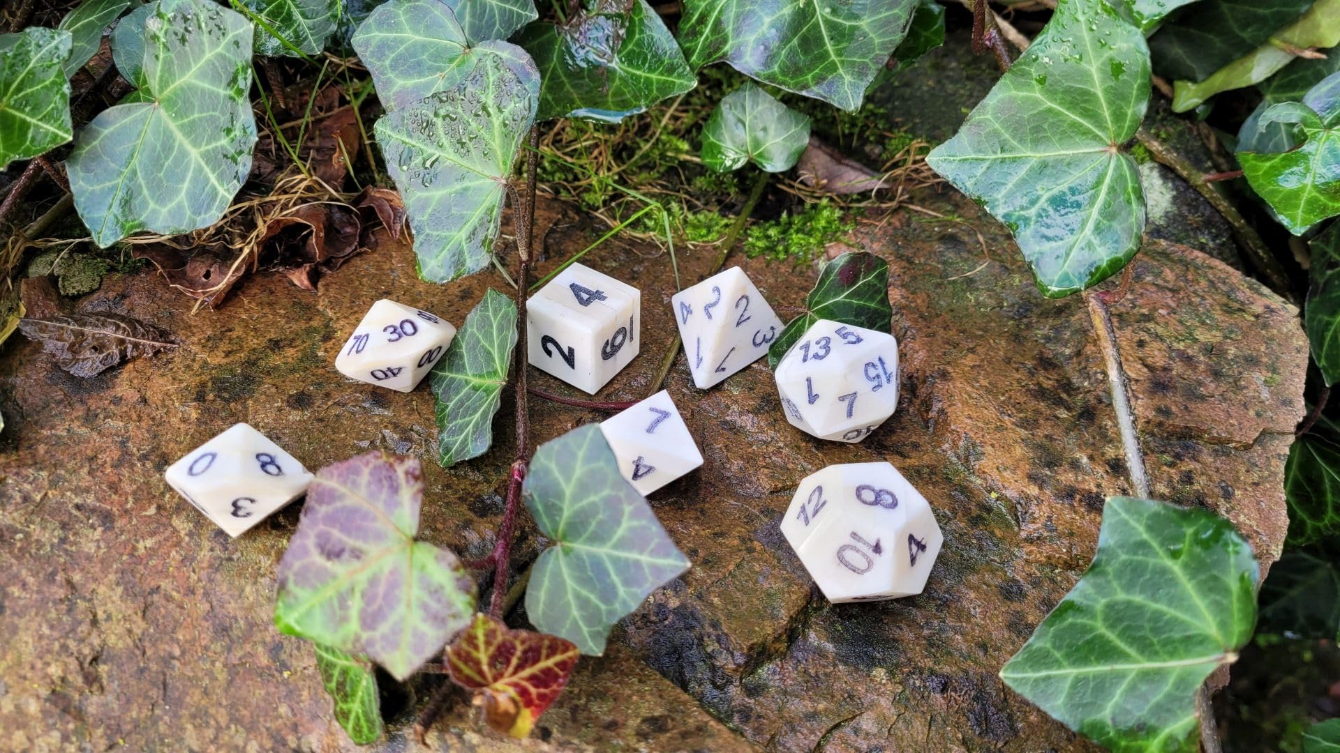 Juego de rol medieval de 7 piezas de hueso hecho a mano, con funda de piel negra, dados W4-W100, números grabados, producto natural (hueso)