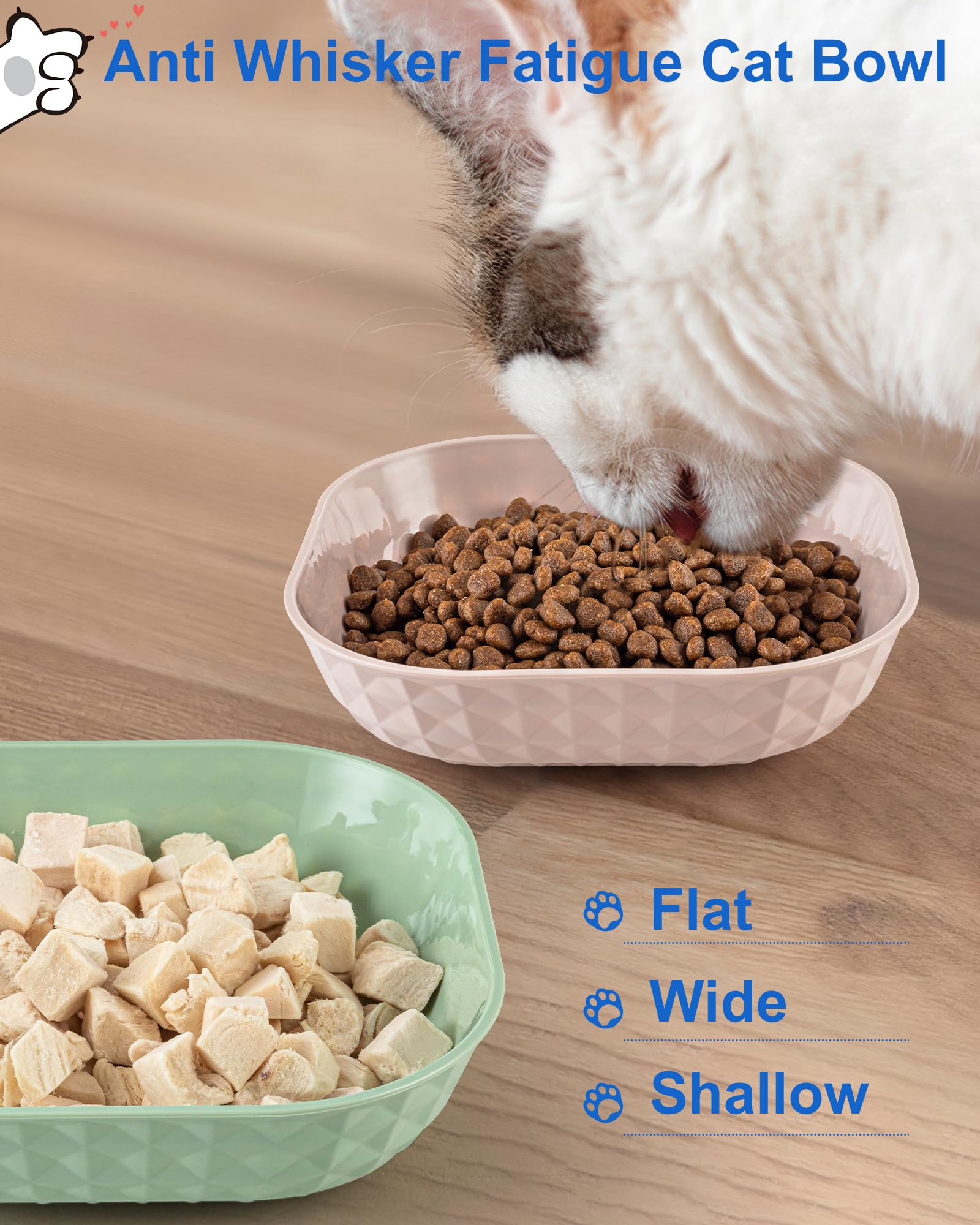 Flache Katzennäpfe Mit Rutschfesten Füßen – 14 Cm Durchmesser, 6er-Set, Für Schnurrhaare