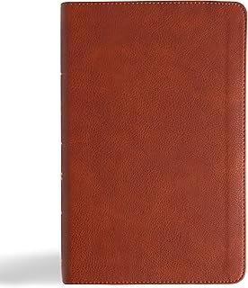 CSB Single-Column Personal Size Reference Bible, Burnt Sienna LeatherTouch, Black Letter, Presentation Page, Cross-Referen...