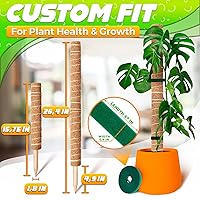 Vista 2 de Dimrom Paquete de 2 postes de musgo para monstera, 20 pulgadas, 12 pulgadas, con lazos de jardín de 67 pulgadas, postes para plantas trepadoras