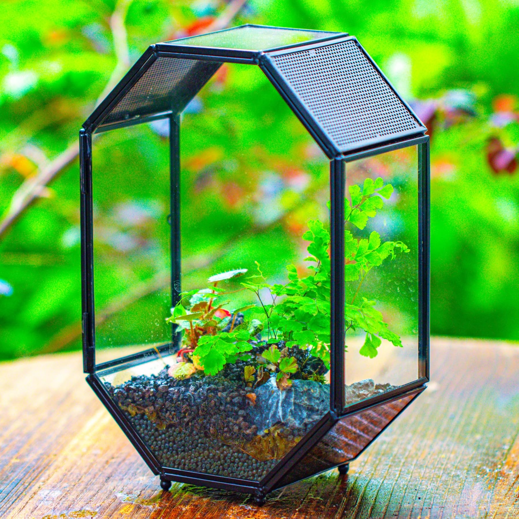 NCYP 15,8x8x22,1 cm Octogonale Terrarium en Verre avec Maille et Porte pour Araignées, Insectes, Petites Plantes (Plantes et Accessoires Non Inclus)