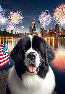 Newfoundland Landseer - Best of Breed DCR July 4 House Flag 28" x 40"