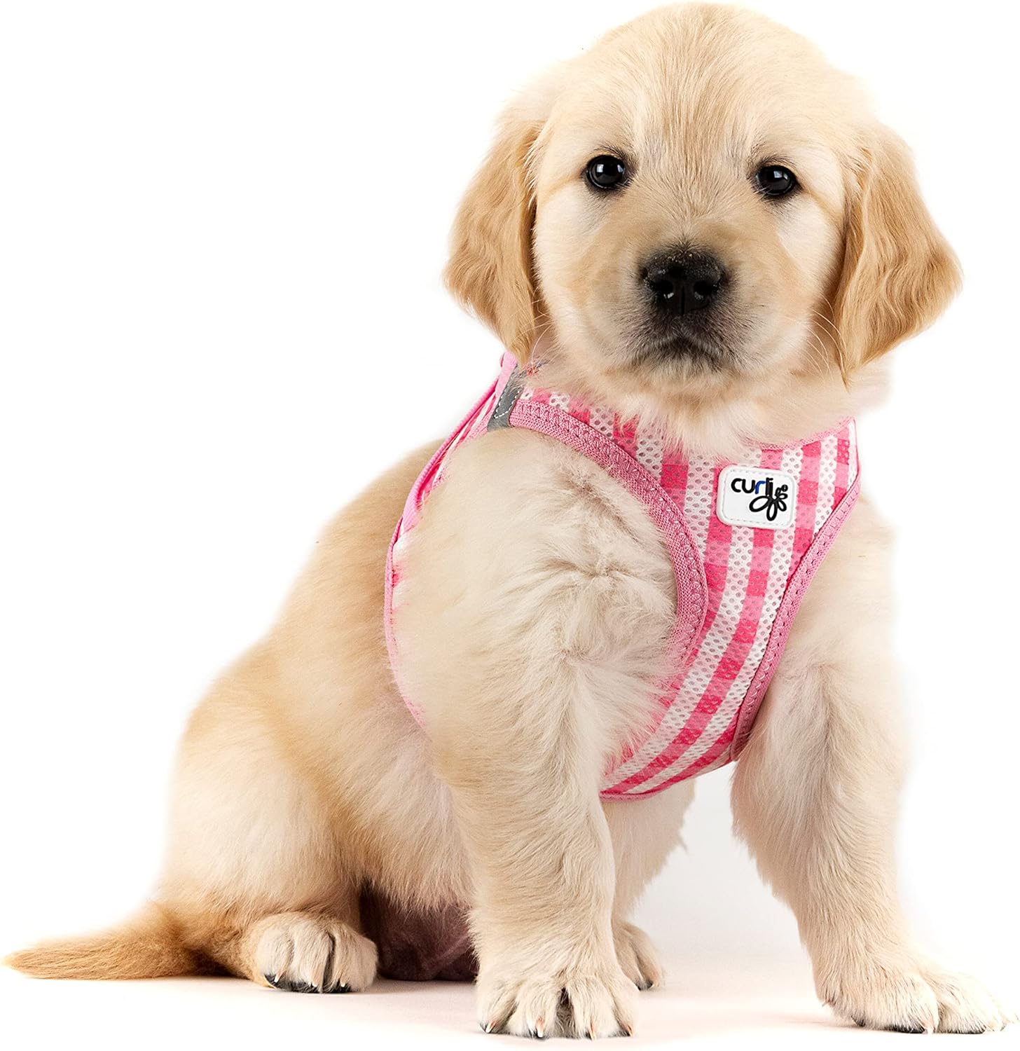 Vest Harness curli Clasp Air-Mesh Pink-Caro S & Leash M