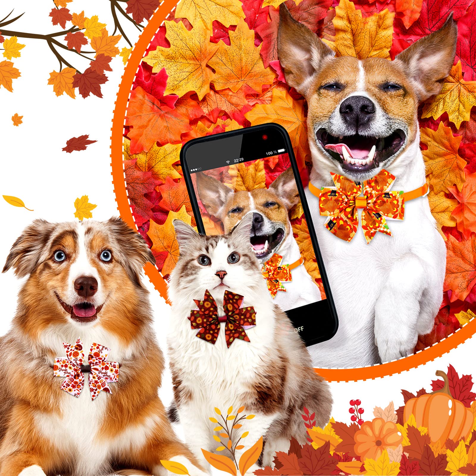 80 Stück Thanksgiving Day Hund Fliege Kleine Katze Hund Fliege Verstellbar Fall Hundehalsband Basic Welpe Hund Katze Krawatten für Festival Urlaub Tierhaare Schleife Fellpflege Zubehör (Ahornblatt)