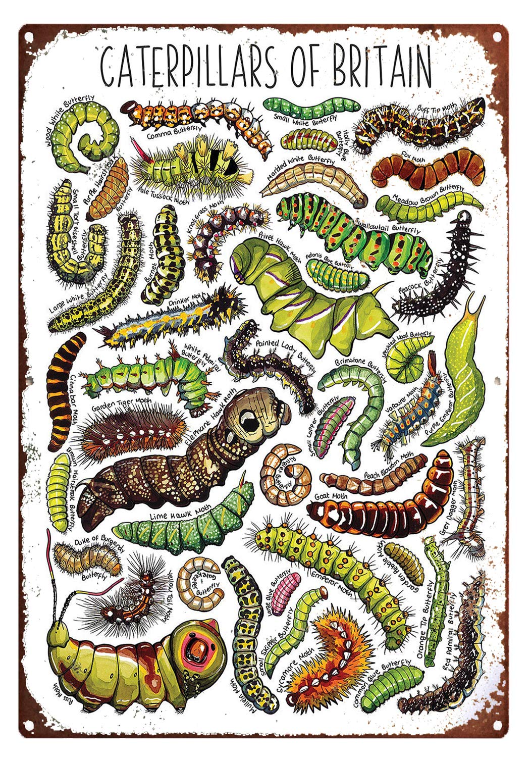 Yivxa Tin-1597 Vintage Metal Signs For Garage Caterpillars Of Britain Watercolour Wildlife Print Tin Signs Vintage Funny