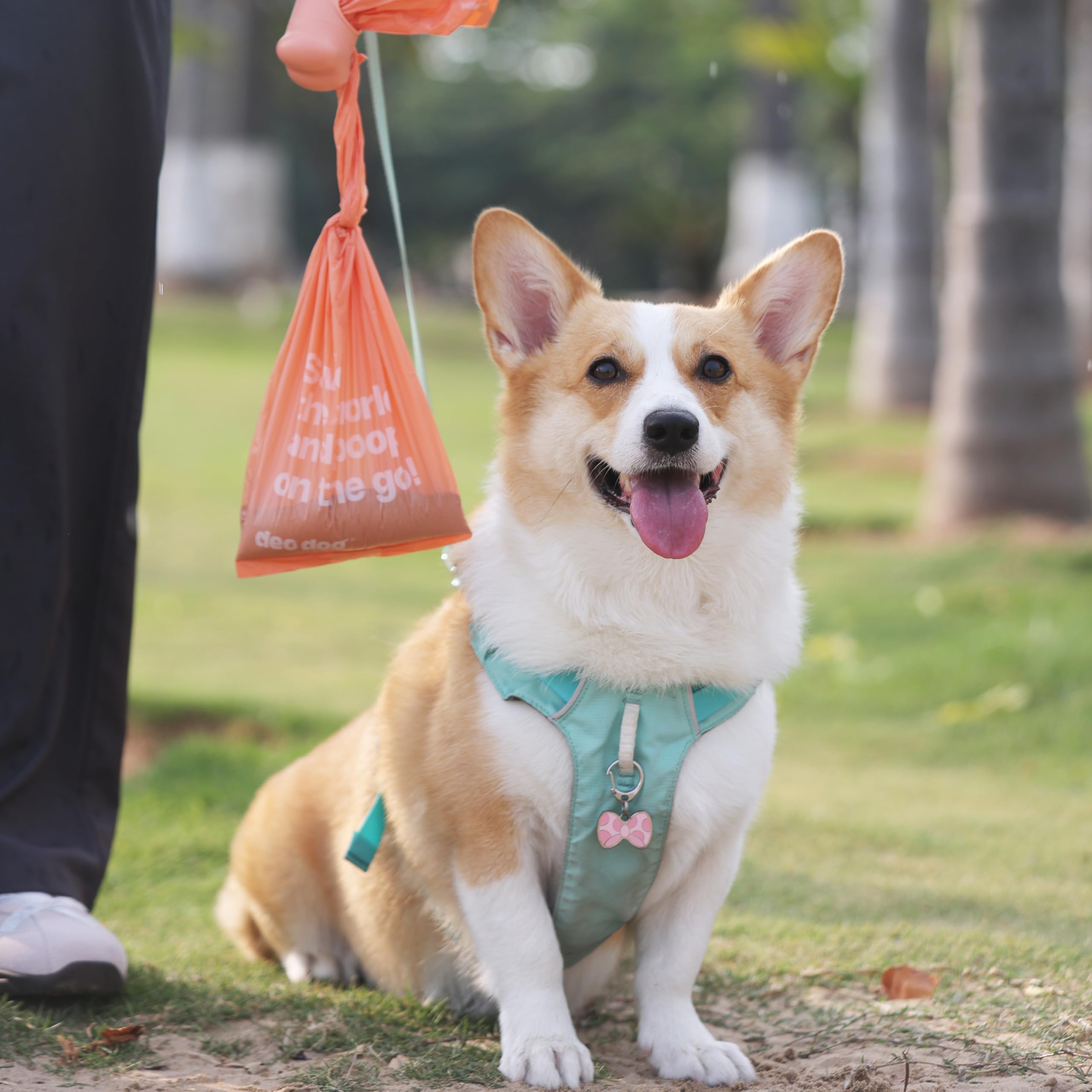 Deo Doo Lot de 60 rouleaux de sacs à déjections canines avec poignées, 720 pièces, de grandes tailles, anti-fuite et extra épais, pour promener les chiens de petite, moyenne et grande taille, avec 2
