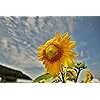 Product Photo 2