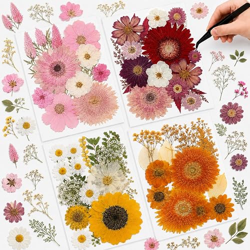 Nuanchu Dried Flowers Pressed for Crafts Resin Molds DIY, Large Sunflower