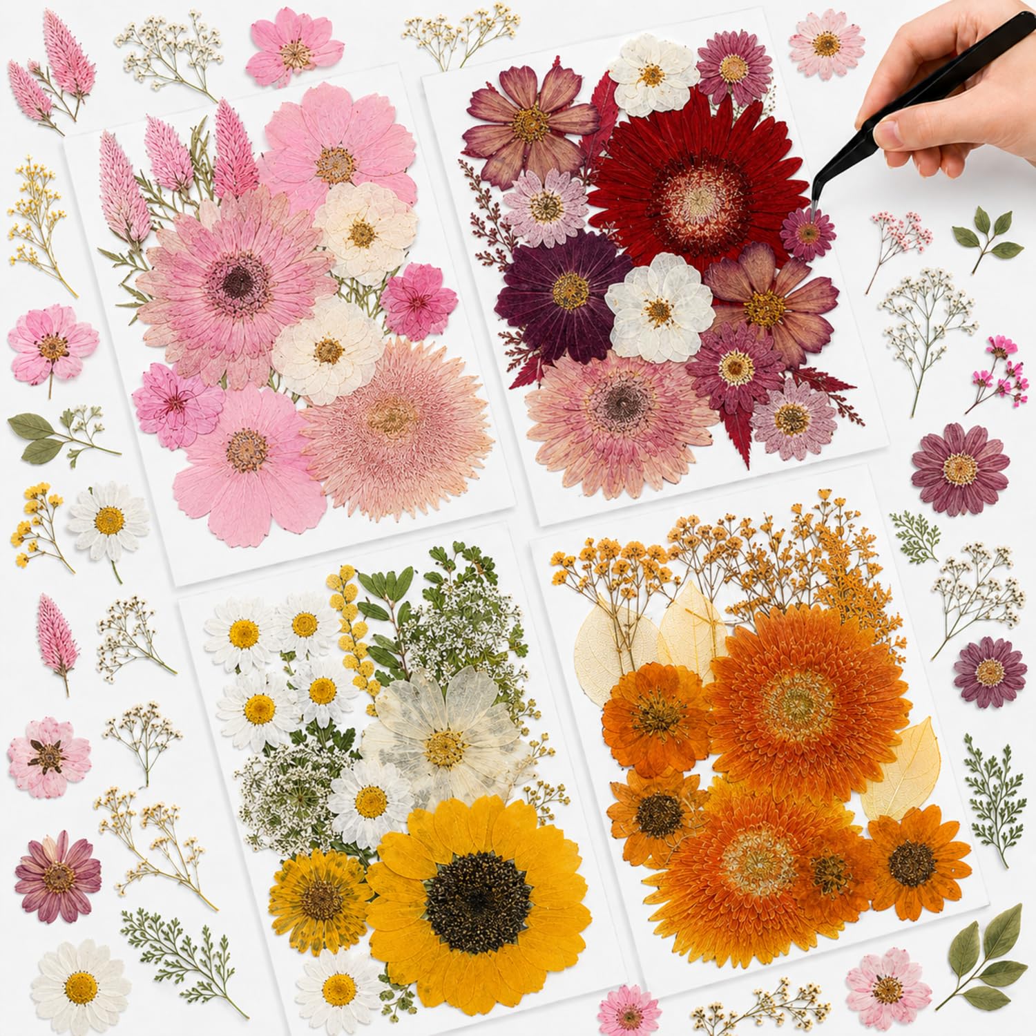 Nuanchu Dried Flowers Pressed for Crafts Resin Molds DIY, Large Sunflower