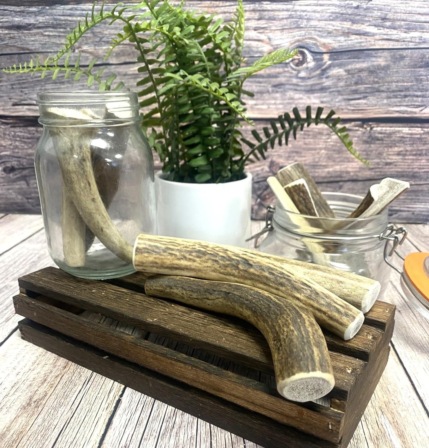 Split Antler Dog Chews Small x 2 (Weight 25-37g), (Size May Vary) Premium Quality Natural Dog Chew Treat Hypo-Allergenic Dog Chew SHC - Image 3