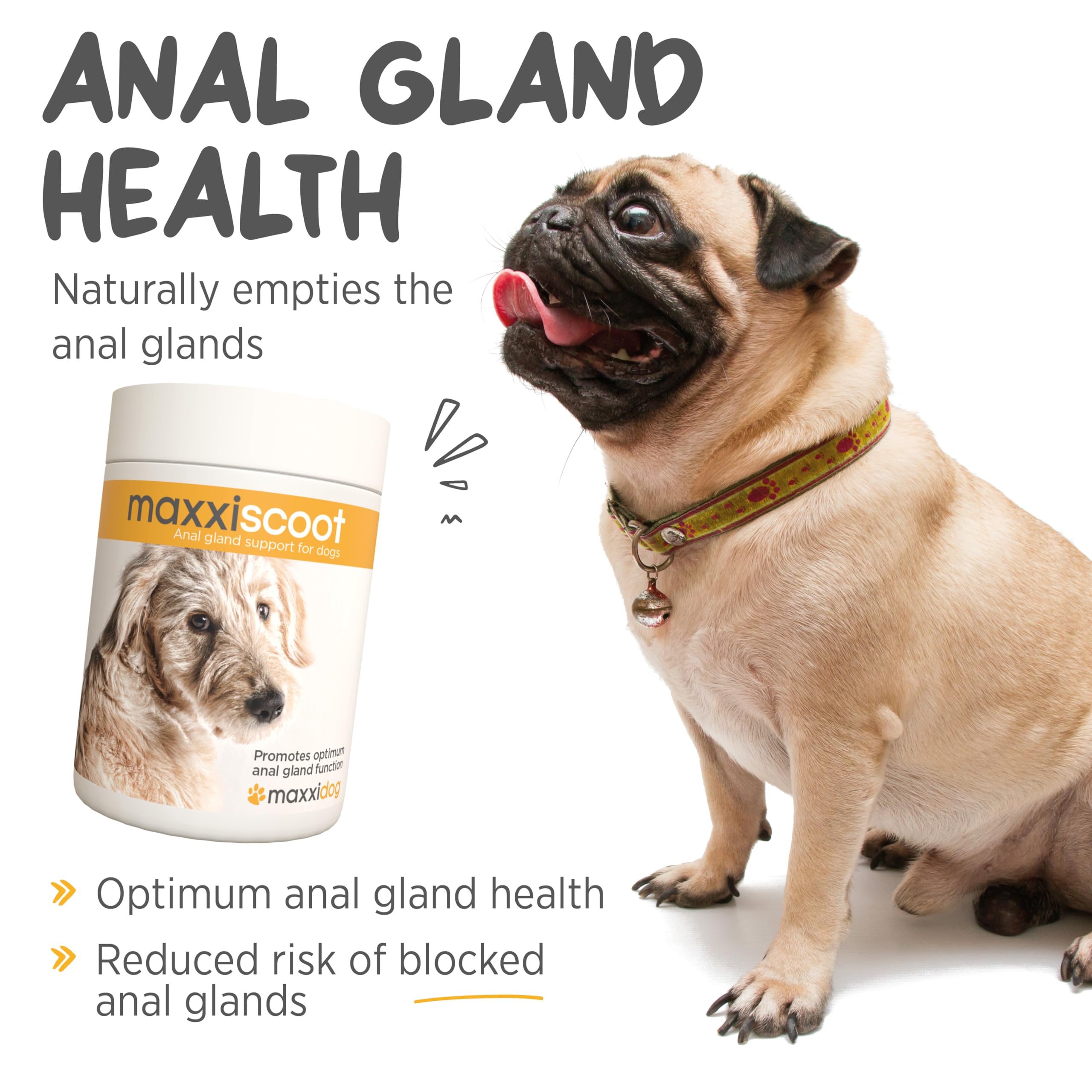 maxxipaws maxxiscoot Anal Gland & Digestive Health Support for Dogs -  Powder Supplement, 140g : Amazon.ie