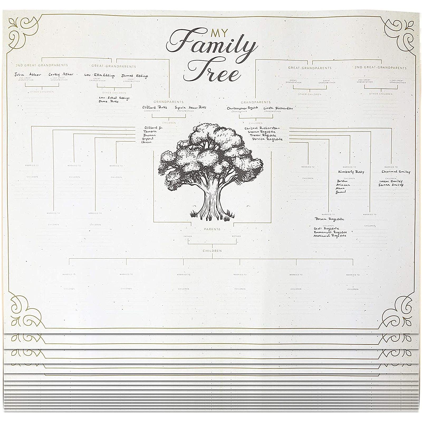 Amazon.com: Blank Genealogy Chart, My Family Tree (17 x 22 Inches, 15 Pack)  : Office Products