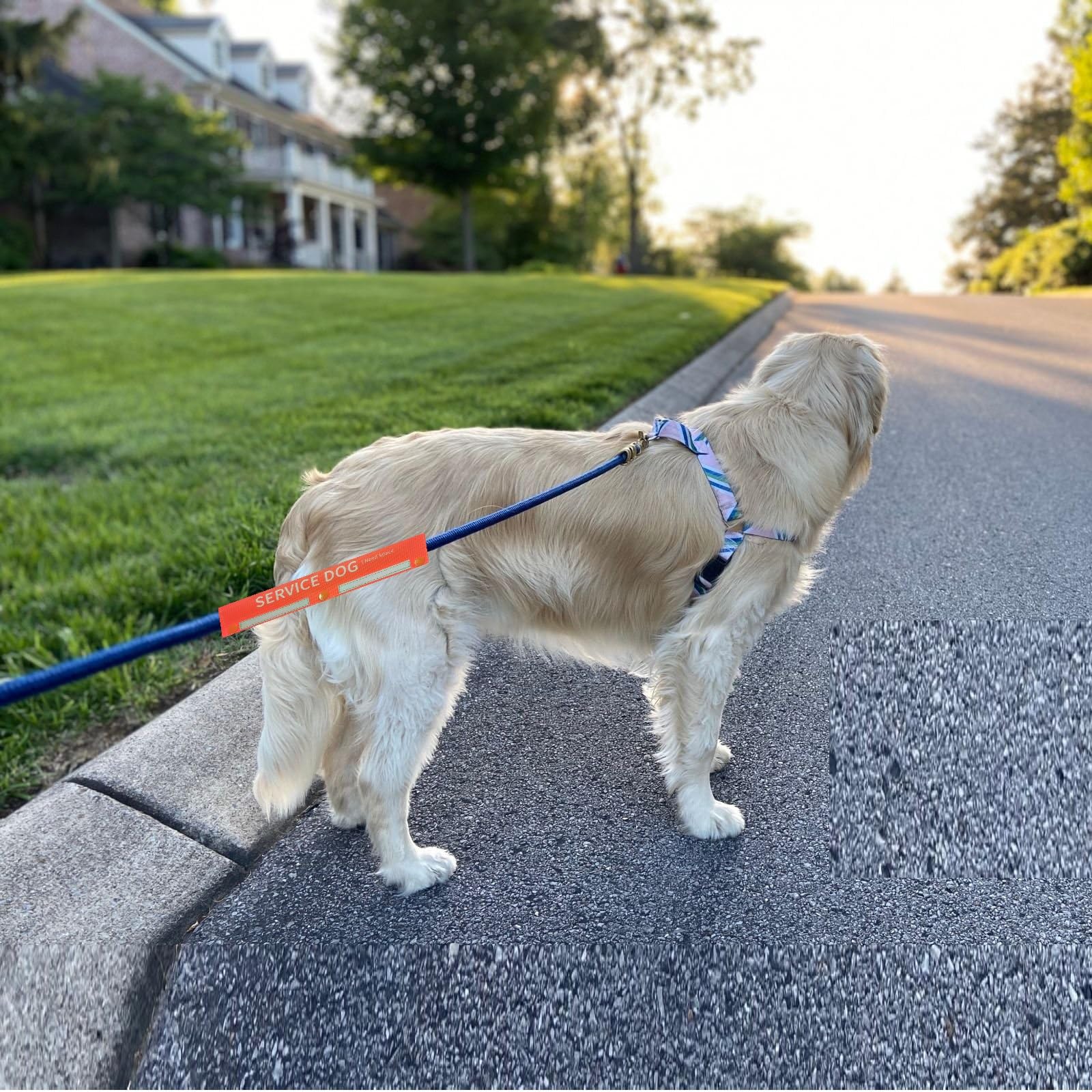Service Dog Leash Sleeve - Space-Giving Wrap for Training, Highly Visible Dog Rope Wrap for Walking