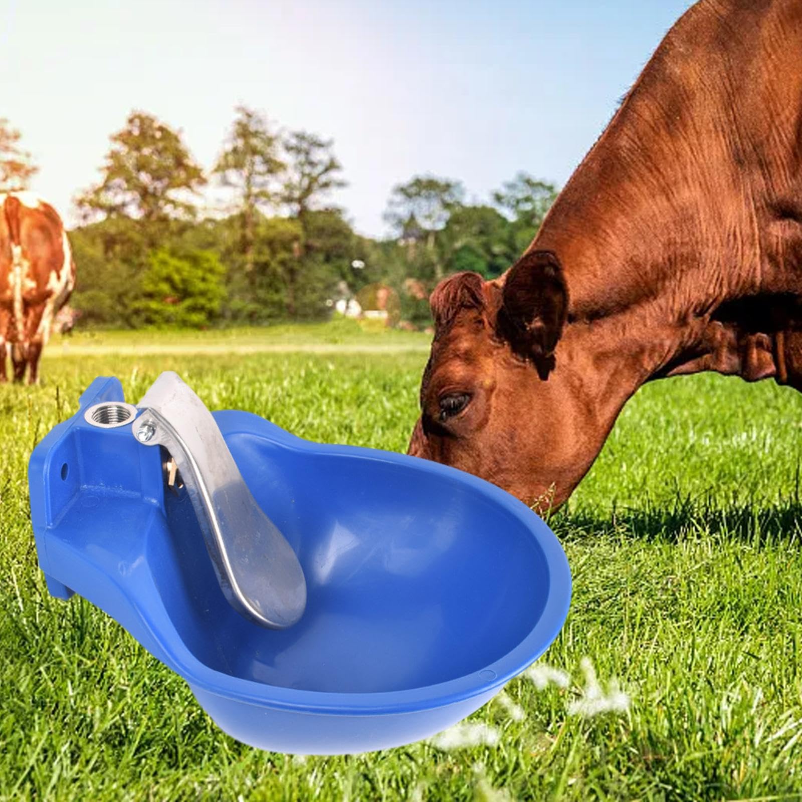 Abbeveratoio Automatico per Mucche, Maialini, Pecore, Mangiatoia per Pecore, Blu