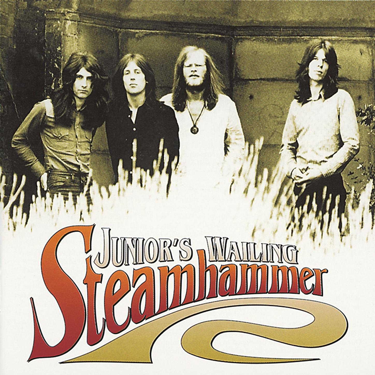 Steamhammer