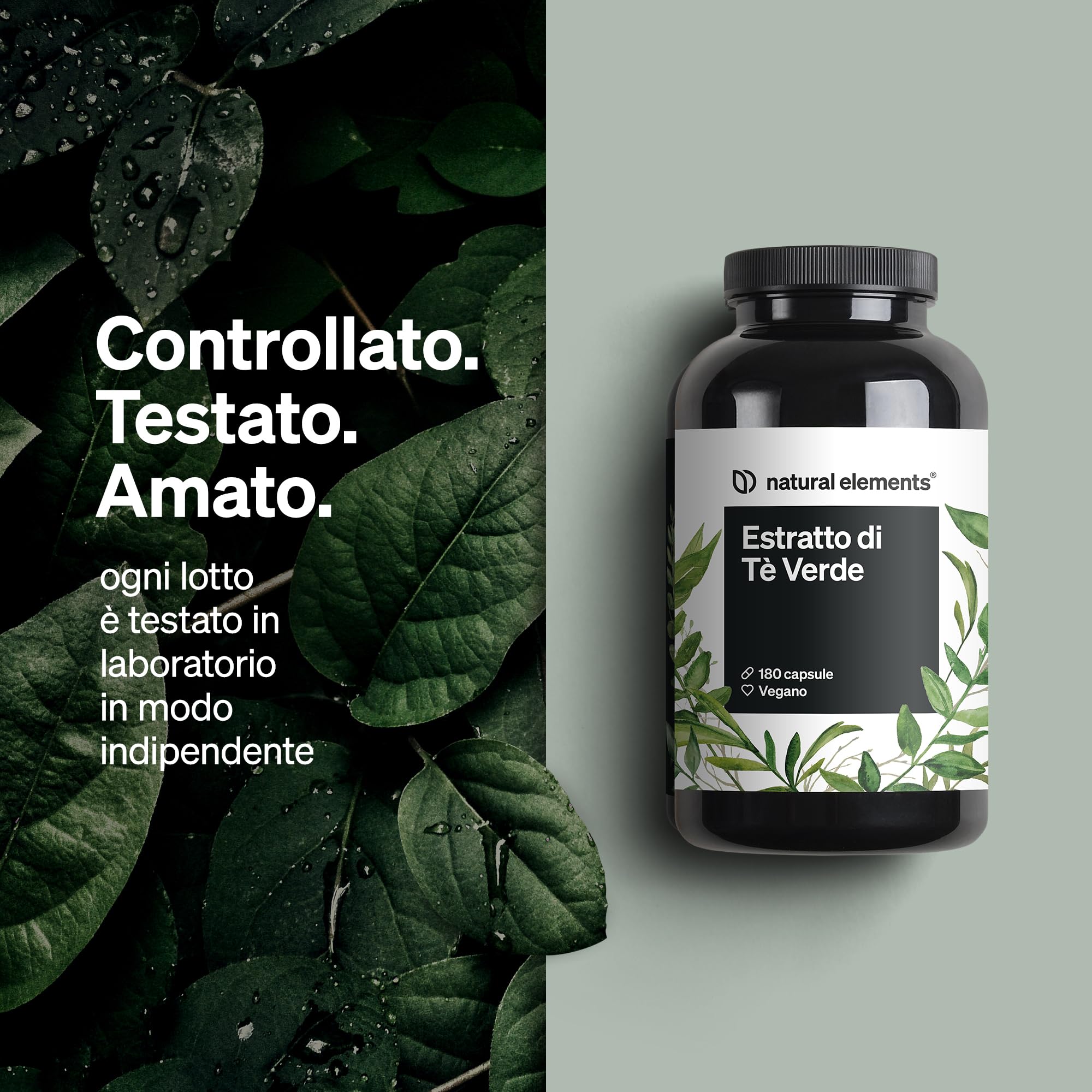 Estratto di tè verde 1998 mg per dose giornaliera – 180 capsule – con ECGC e polifenoli – vegano, alto dosaggio, zero additivi – prodotto e testato in laboratorio in Germania