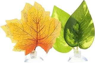 POPETPOP Aquário Betta Fish Leaf Beds Decorativa Tanque de Peixes Camas de folhas Betta Ornamentos de folhas de peixe Aquário Betta