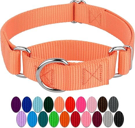 mango dog collar