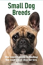 Small Dog Breeds: Expert Help to Find The Best Small Dog for You