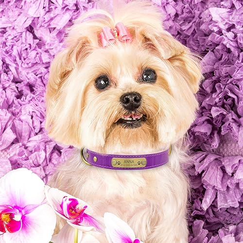 Miniatura 18 de Collar de perro de cuero genuino personalizado con placa de nombre grabada, duradero y elegante collar de perro personalizado para perros pequeños