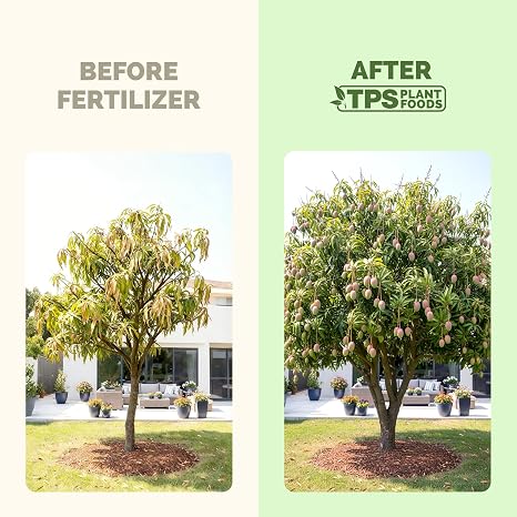 Mango Tree Fertilizer Liquid Plant Food for More Fruit, Stronger Blossoms & Healthy Tree Growth, 8 oz