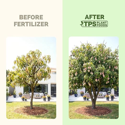 Fertilizante Líquido para Árbol de Mango - 8 oz miniatura 3