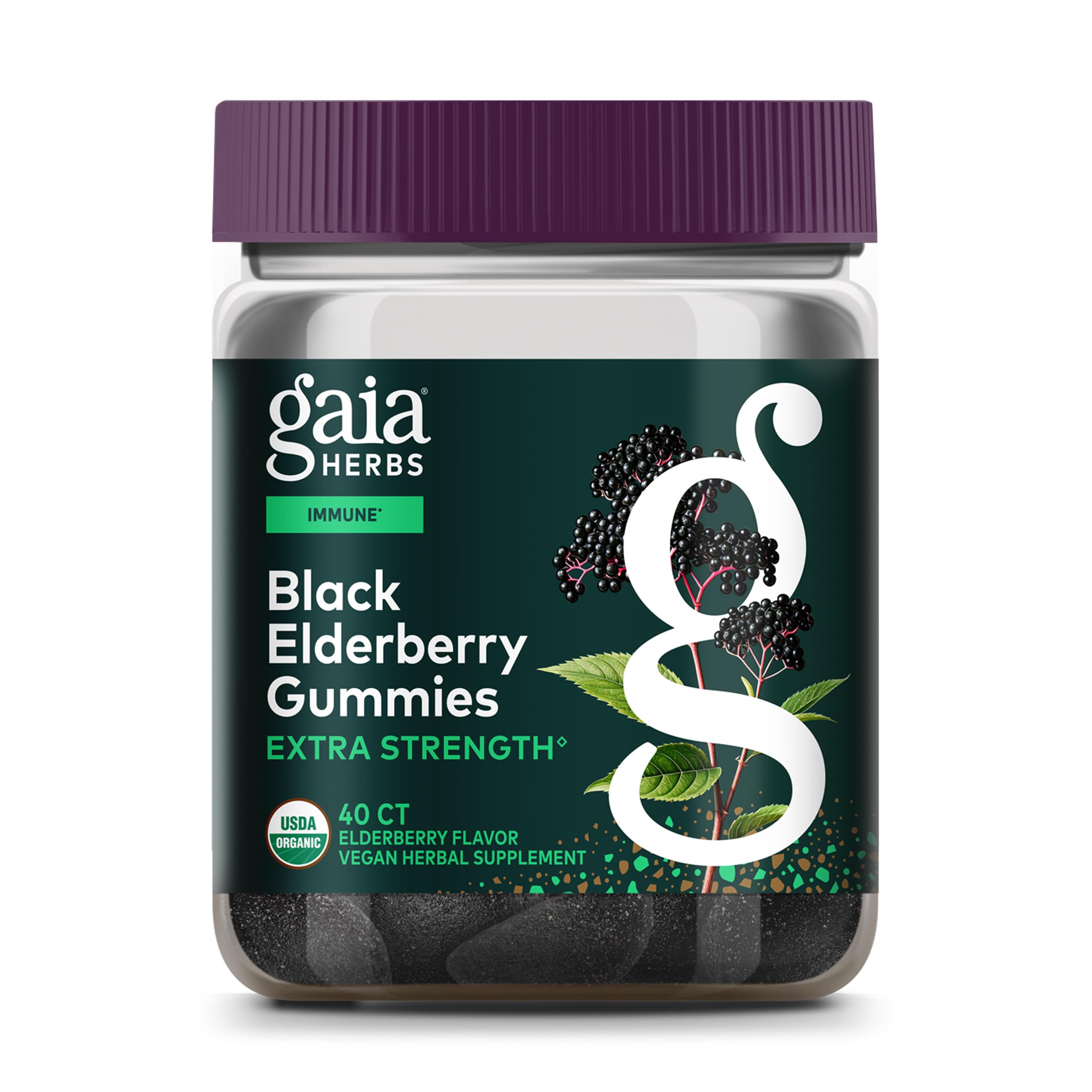 Amazon.com: Gaia Herbs Black Elderberry (Sambucus nigra) Extra