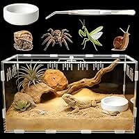 Kit inicial de terrário para répteis (pinça, tigela), 29 cm x 19,8 cm x 15 cm, caixa grande de tarântula magnética, terrário de insetos de caracol, para insetos, louva-a-deus, tarântula, lagarto