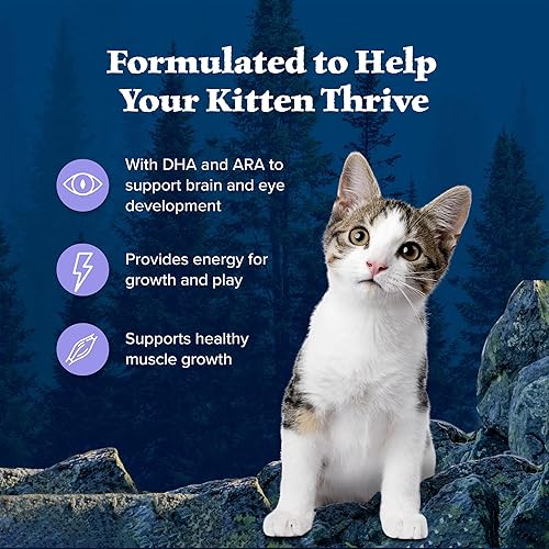 Miniatura 4 de Blue Buffalo Wilderness - Alimento seco natural para gatos con alto contenido de proteínas, pollo de 2 libras