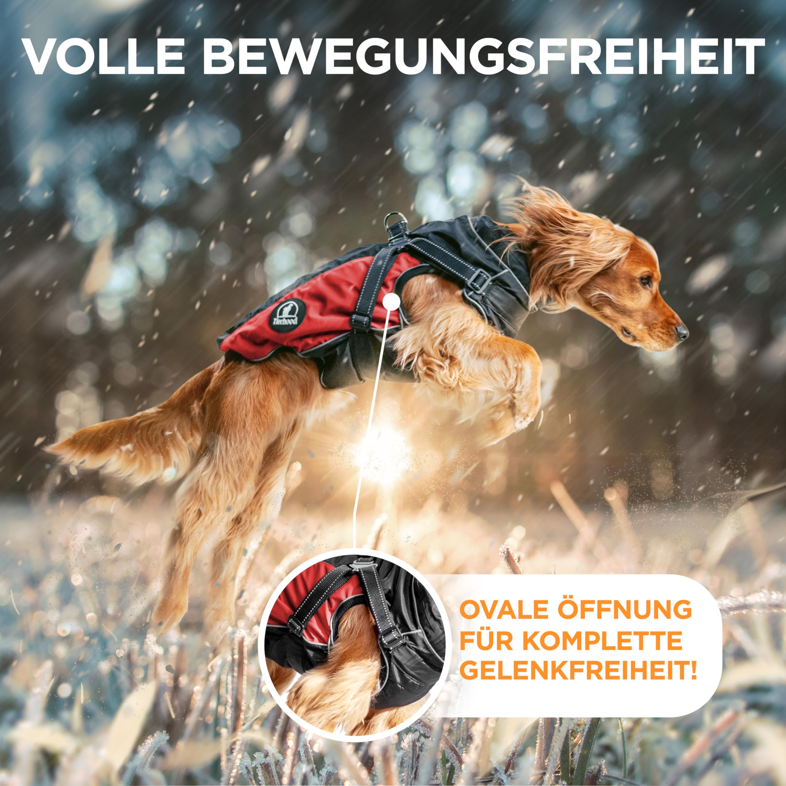 TIERHOOD,Abrigo para perros pequeños y medianos [cálido y resistente al agua],Incluye arnés,Abrigo para perros invierno,Abrigo para perros para exteriores con arnés,Chaqueta de invierno