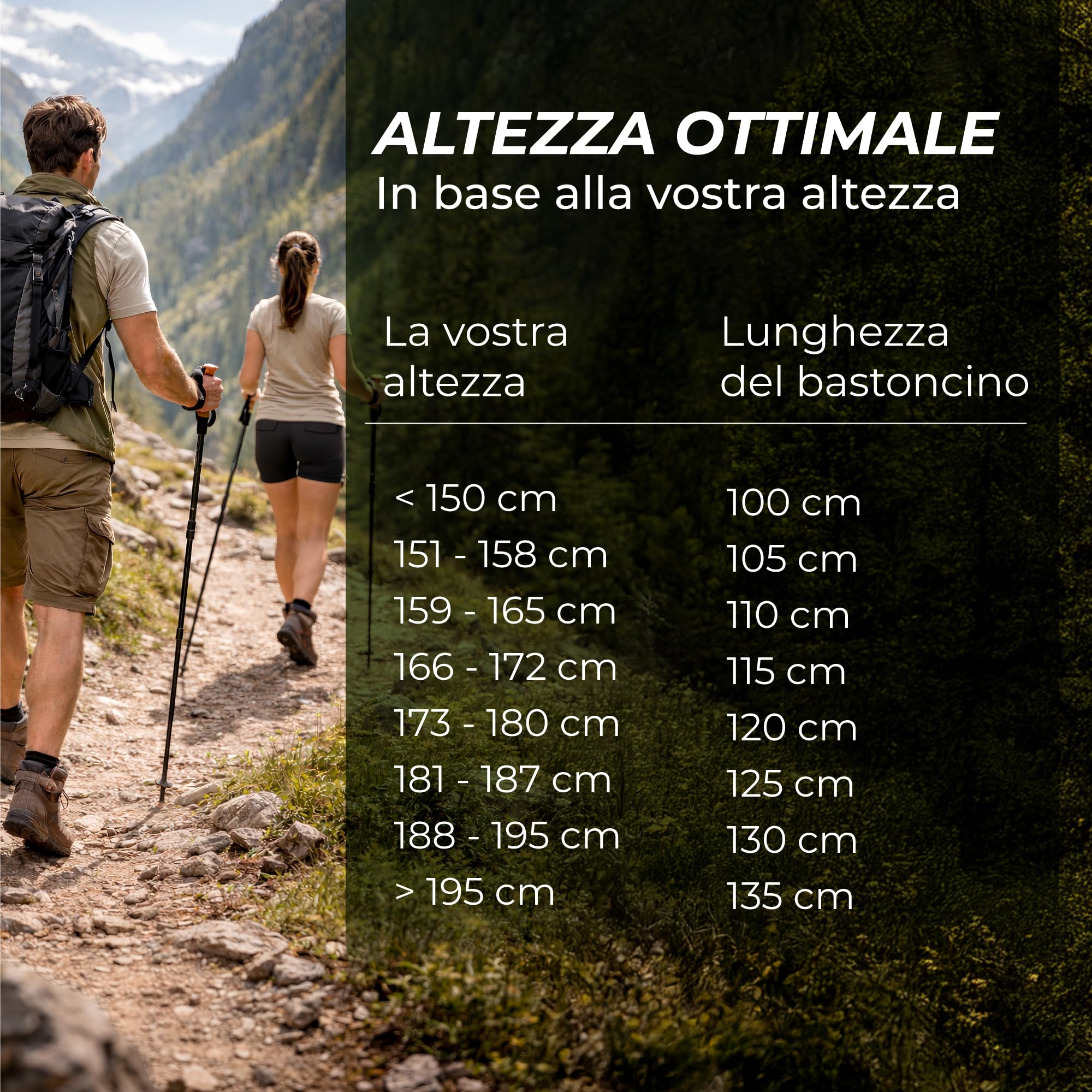 Bastoncini Trekking Telescopici Carbonio o Alluminio - Bastoni Trekking Regolabili per Uomo e Donna, Ultra leggero, con Manico in Sughero Naturale