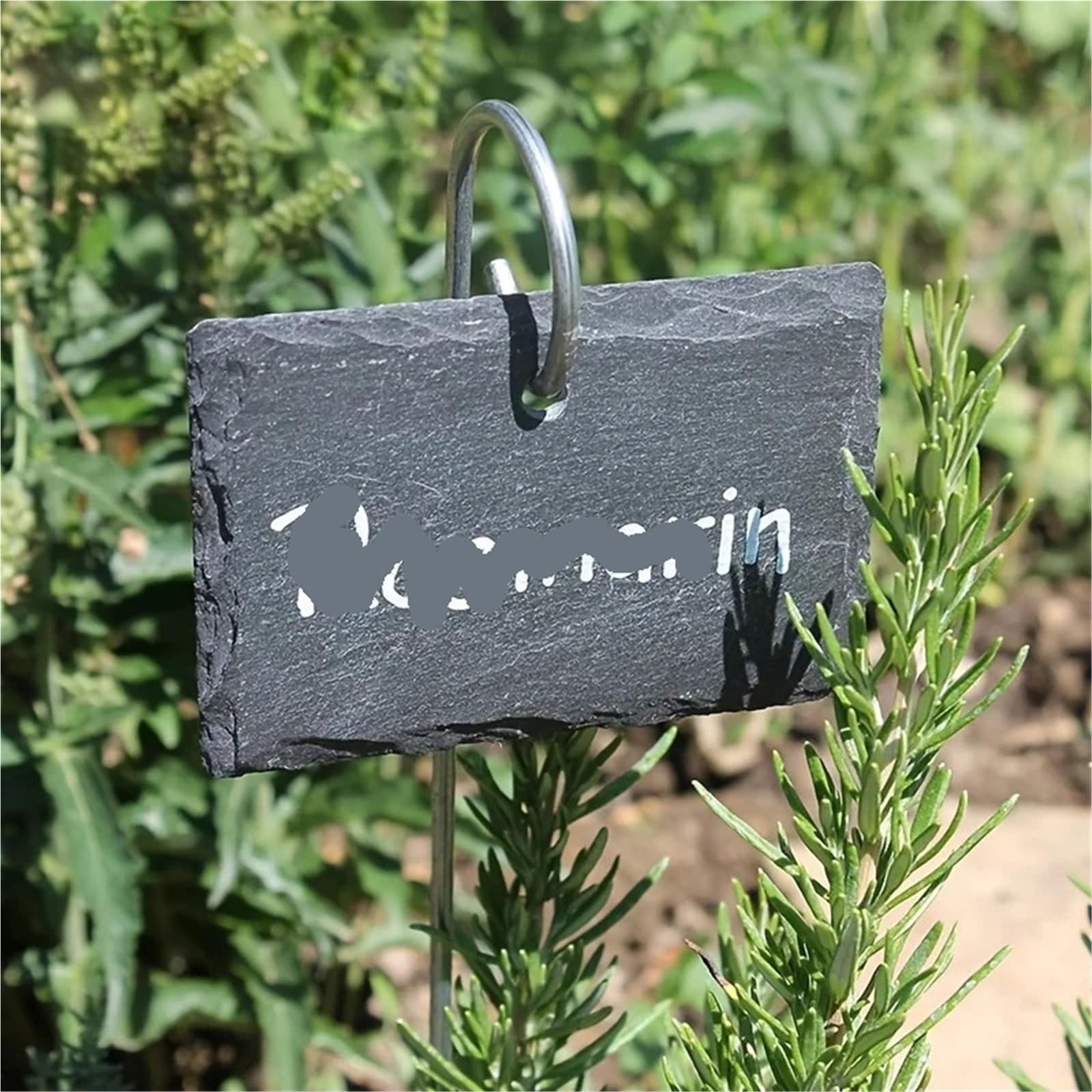 Lot de 10 marqueurs plantes en ardoise noire | Tiges acier inoxydable | Décoration jardin et terrasse intérieure/extérieure Pour Fleurs(Heart)
