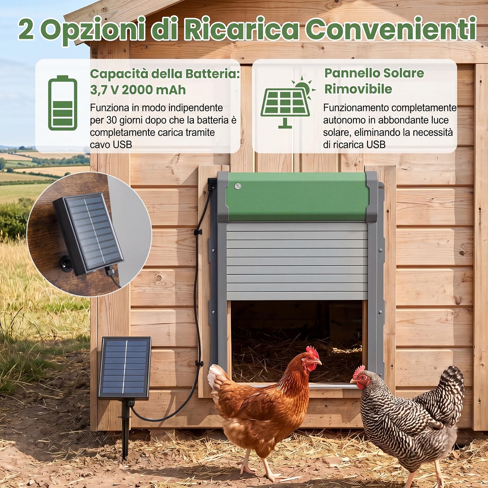 COSTWAY Porta Automatica per Pollaio, Alimentazione Solare e USB, Porta Anti-Pizzicamento per Galline con Sensore di Luce, Timer, Telecomando e Modalità Manuale, Ideale per Diversi Pollame