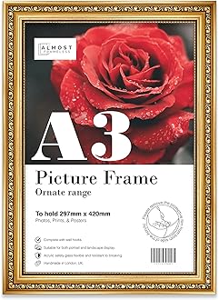 A3 Gold Ornate Picture Frame Fits A3 (29.7 x 42cm - 11.7 x 16.5in) Poster, Photo, Artwork, or Print. Shabby Chic Style Portrait and Landscape Display with Wall Hooks
